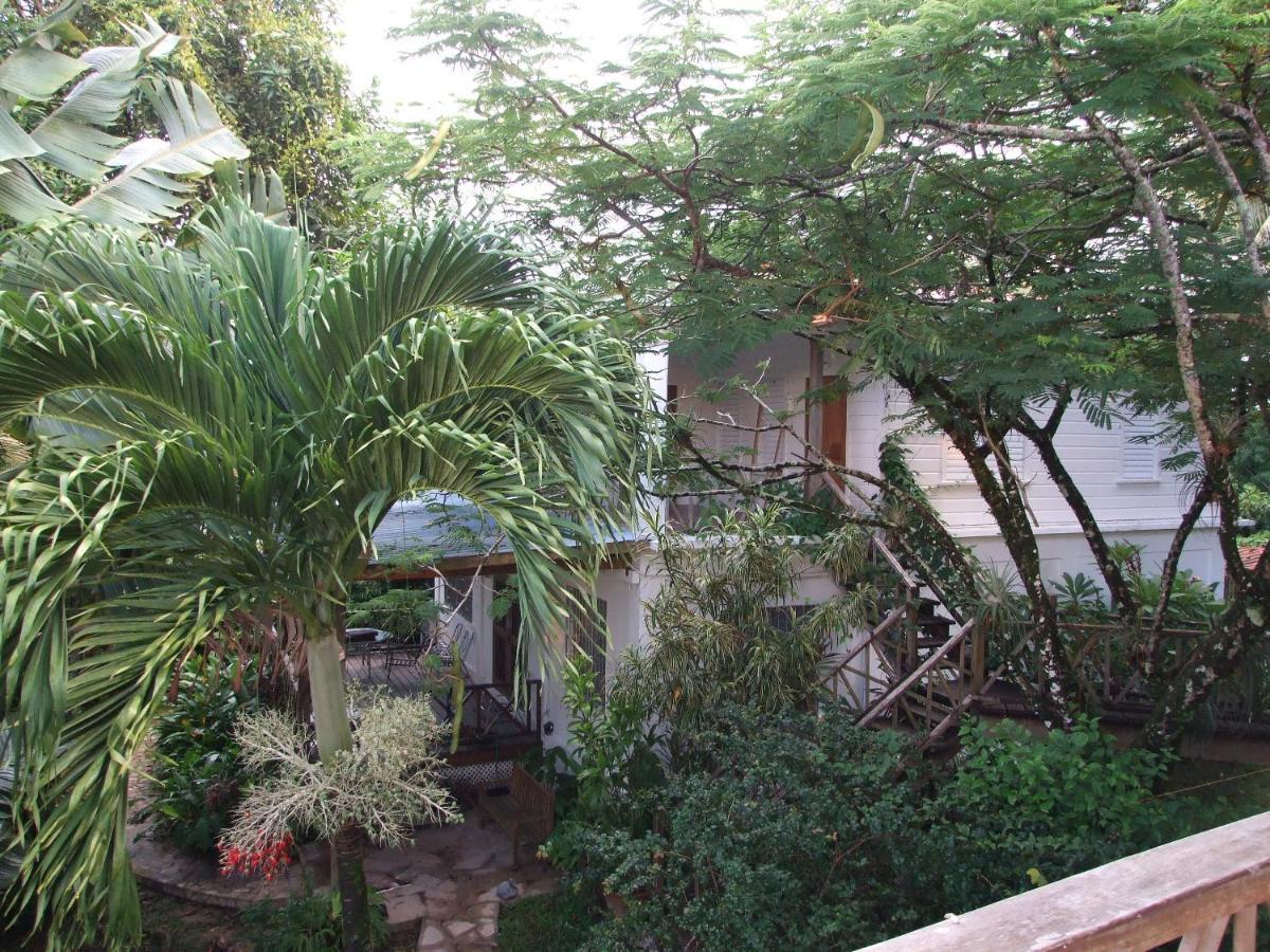 Bluebelize B&B Punta Gorda Esterno foto